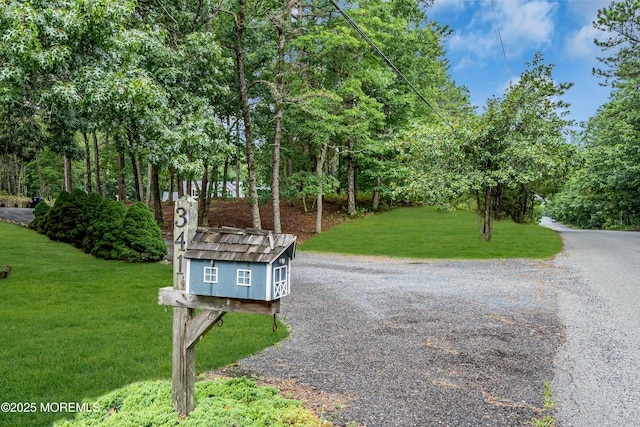 341 Stage Rd, Little Egg Harbor, NJ 08087 - photo 61