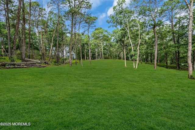 341 Stage Rd, Little Egg Harbor, NJ 08087 - photo 69