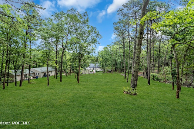 341 Stage Rd, Little Egg Harbor, NJ 08087 - photo 70