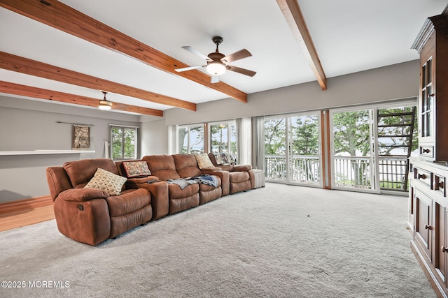 10 W Riverside Dr, Brick, NJ 08723 - photo 32
