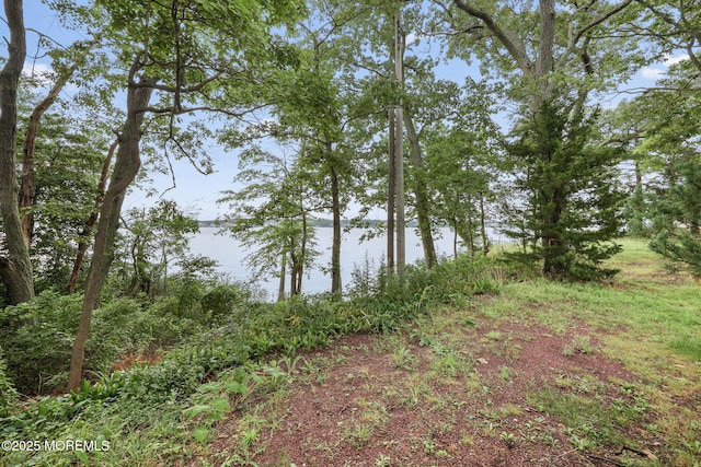 10 W Riverside Dr, Brick, NJ 08723 - photo 45