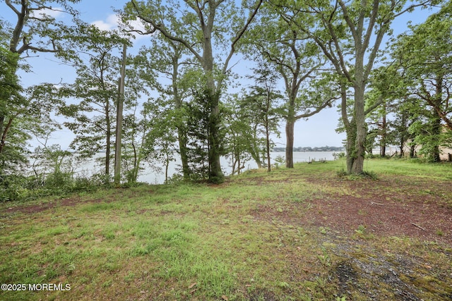 10 W Riverside Dr, Brick, NJ 08723 - photo 46