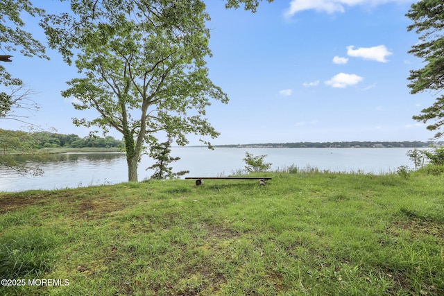 10 W Riverside Dr, Brick, NJ 08723 - photo 47