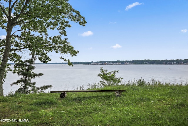 10 W Riverside Dr, Brick, NJ 08723 - photo 48