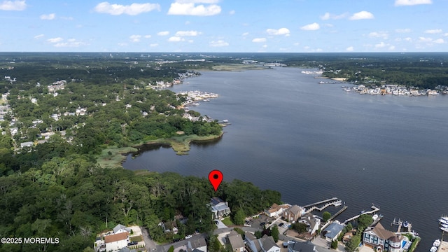 10 W Riverside Dr, Brick, NJ 08723 - photo 50
