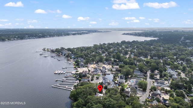 10 W Riverside Dr, Brick, NJ 08723 - photo 53