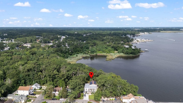 10 W Riverside Dr, Brick, NJ 08723 - photo 55