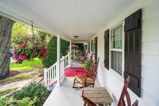 533 Woodland Ave, Brielle, NJ 08730 - photo 8