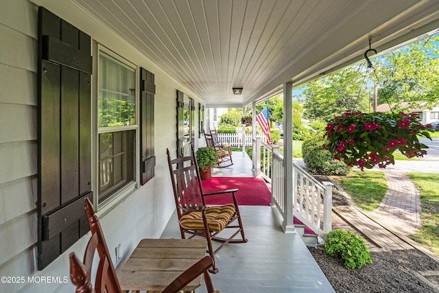 533 Woodland Ave, Brielle, NJ 08730 - photo 9
