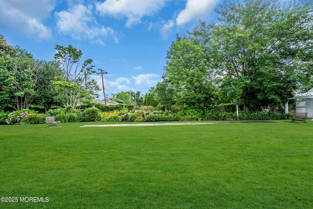 35 Magnolia Ln, Toms River, NJ 08753 - photo 50