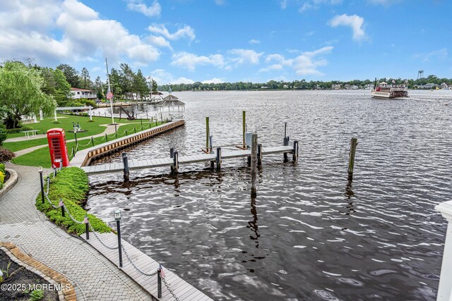 35 Magnolia Ln, Toms River, NJ 08753 - photo 61