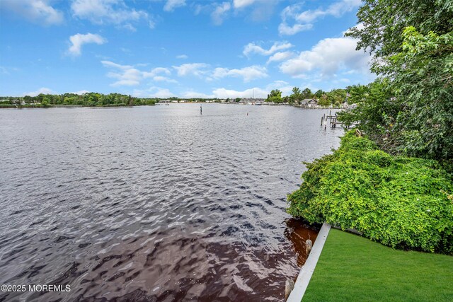 35 Magnolia Ln, Toms River, NJ 08753 - photo 62