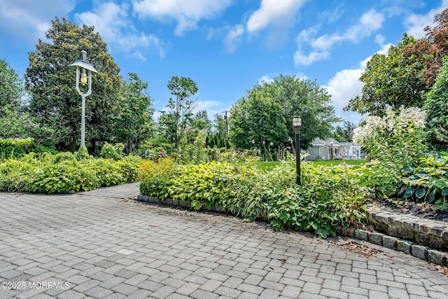 35 Magnolia Ln, Toms River, NJ 08753 - photo 65