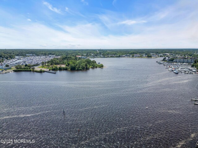 35 Magnolia Ln, Toms River, NJ 08753 - photo 106