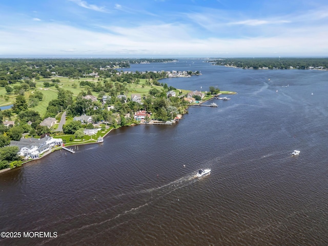 35 Magnolia Ln, Toms River, NJ 08753 - photo 119