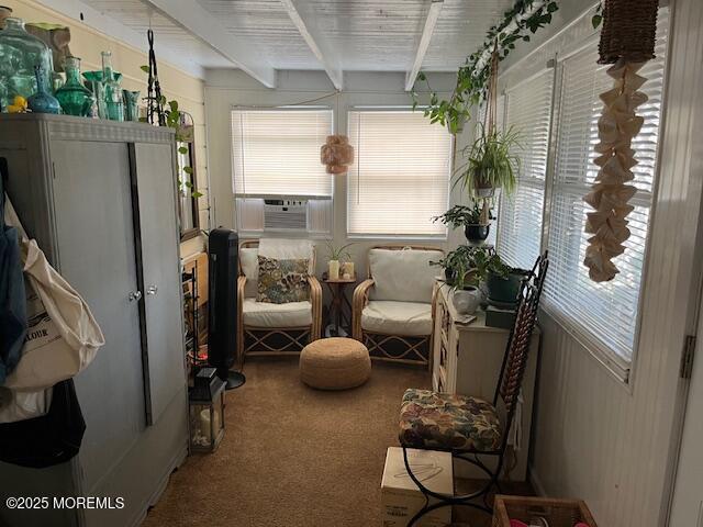 554 Princeton Ave, Brick, NJ 08724 - photo 19