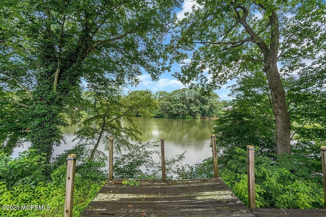 35 Shadow Lake Dr, Red Bank, NJ 07701 - photo 23