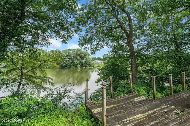 35 Shadow Lake Dr, Red Bank, NJ 07701 - photo 24