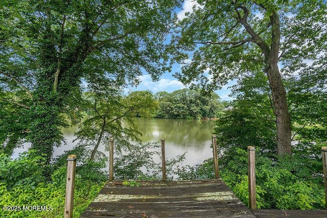 35 Shadow Lake Dr, Red Bank, NJ 07701 - photo 56