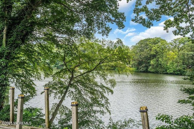 35 Shadow Lake Dr, Red Bank, NJ 07701 - photo 27
