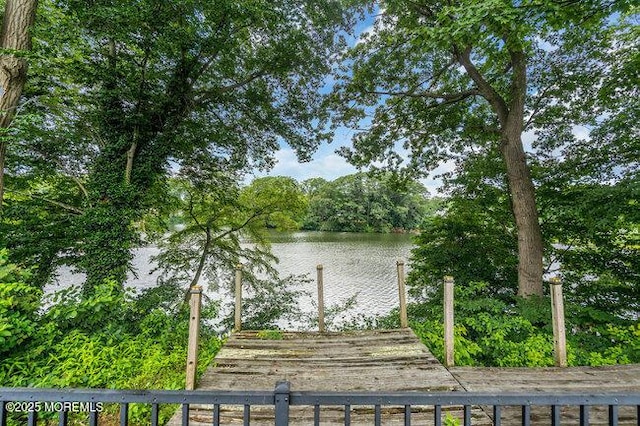 35 Shadow Lake Dr, Red Bank, NJ 07701 - photo 28