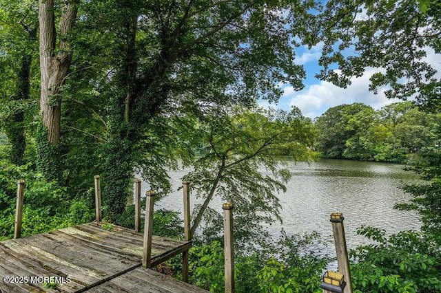 35 Shadow Lake Dr, Red Bank, NJ 07701 - photo 29