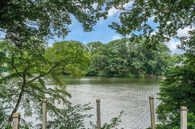 35 Shadow Lake Dr, Red Bank, NJ 07701 - photo 30