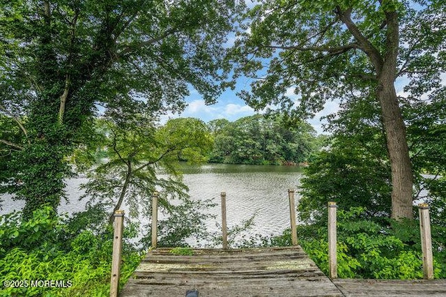 35 Shadow Lake Dr, Red Bank, NJ 07701 - photo 31