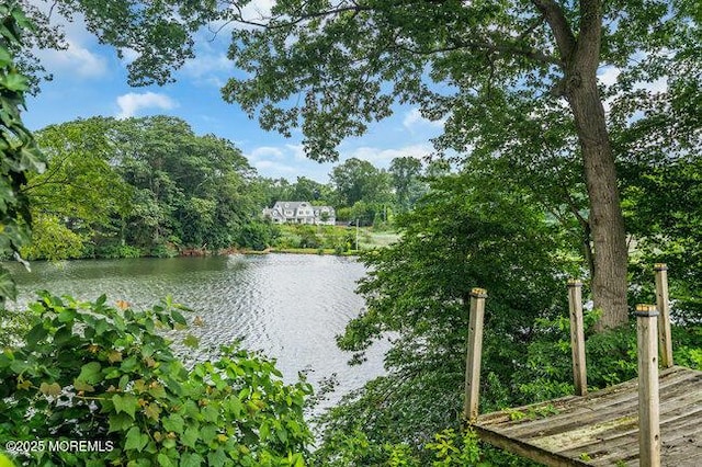 35 Shadow Lake Dr, Red Bank, NJ 07701 - photo 32