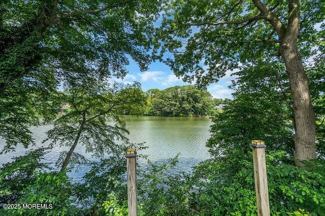 35 Shadow Lake Dr, Red Bank, NJ 07701 - photo 35