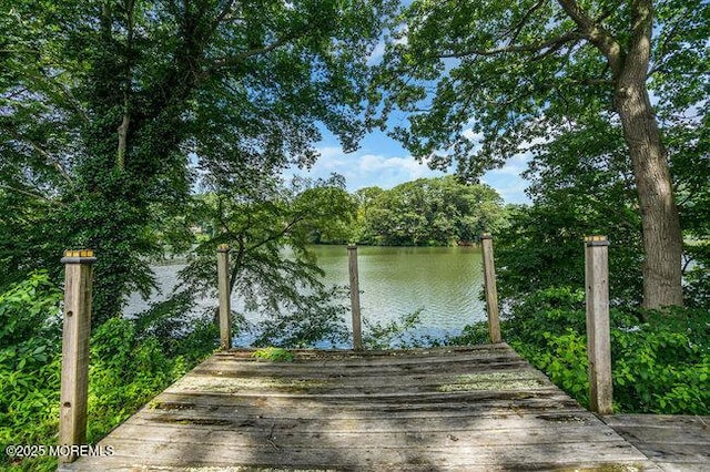 35 Shadow Lake Dr, Red Bank, NJ 07701 - photo 36