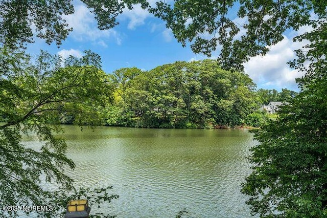 35 Shadow Lake Dr, Red Bank, NJ 07701 - photo 59