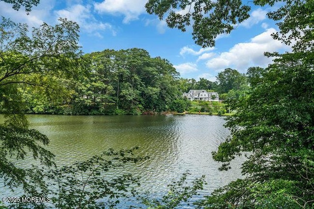 35 Shadow Lake Dr, Red Bank, NJ 07701 - photo 37