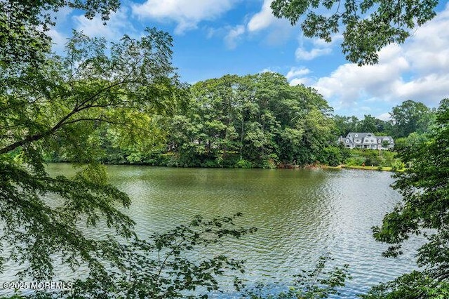 35 Shadow Lake Dr, Red Bank, NJ 07701 - photo 38