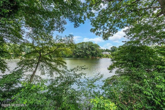 35 Shadow Lake Dr, Red Bank, NJ 07701 - photo 39