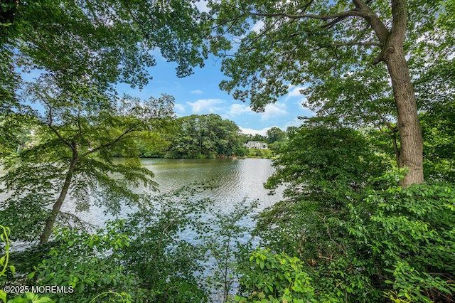 35 Shadow Lake Dr, Red Bank, NJ 07701 - photo 40