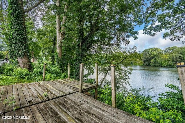 35 Shadow Lake Dr, Red Bank, NJ 07701 - photo 42