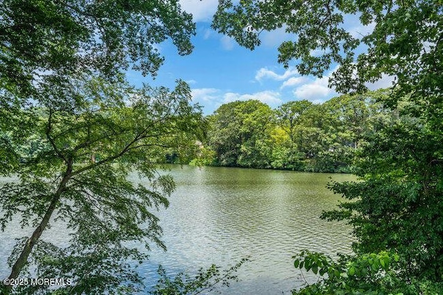 35 Shadow Lake Dr, Red Bank, NJ 07701 - photo 43