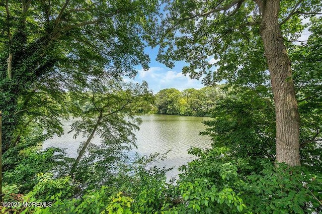 35 Shadow Lake Dr, Red Bank, NJ 07701 - photo 44