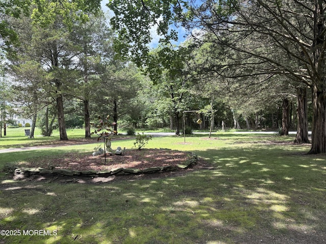 181 E Pleasant Grove Rd, Jackson, NJ 08527 - view of grassy yard