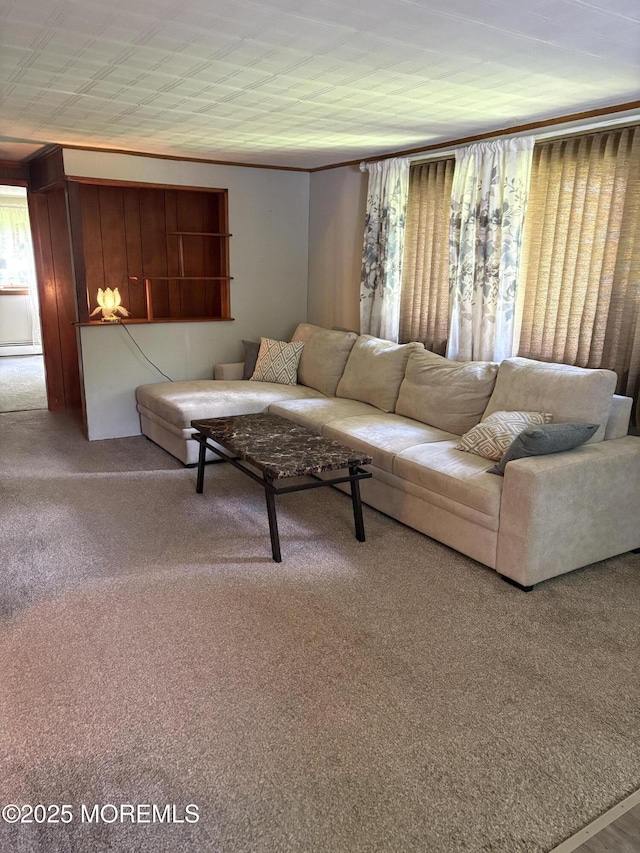 181 E Pleasant Grove Rd, Jackson, NJ 08527 - carpeted living area with healthy amount of natural light