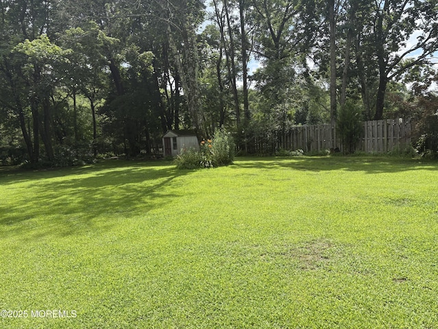 181 E Pleasant Grove Rd, Jackson, NJ 08527 - view of yard featuring a shed