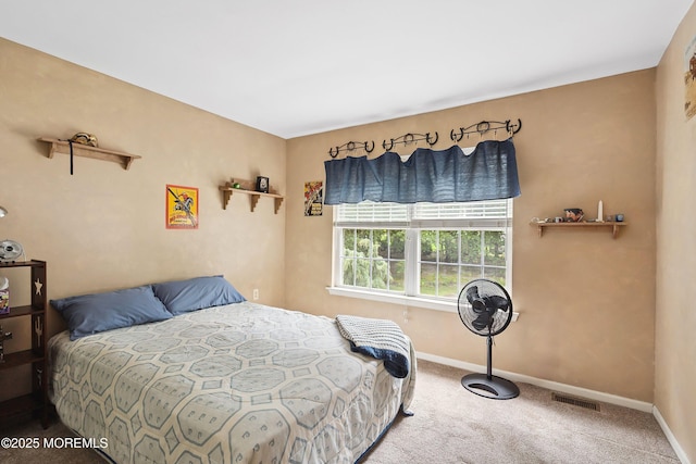 12 Springbrook Dr, Jackson, NJ 08527 - photo 29