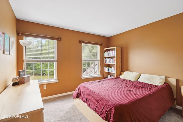 12 Springbrook Dr, Jackson, NJ 08527 - photo 30