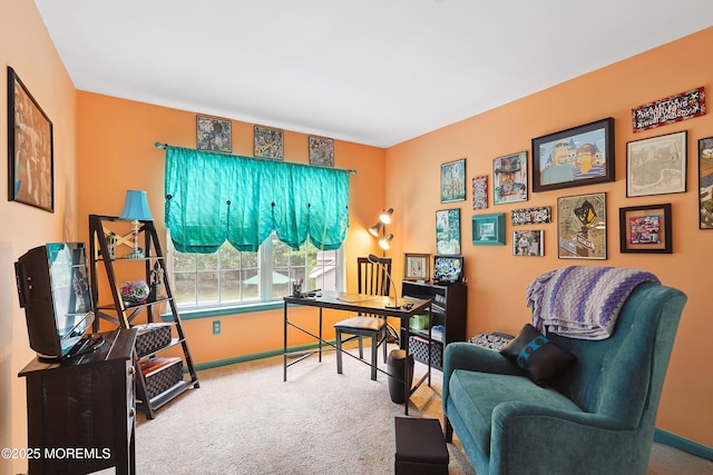 12 Springbrook Dr, Jackson, NJ 08527 - photo 31