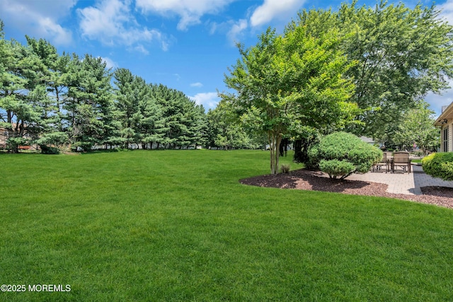 32 Peasley Dr, Marlboro, NJ 07746 - photo 34
