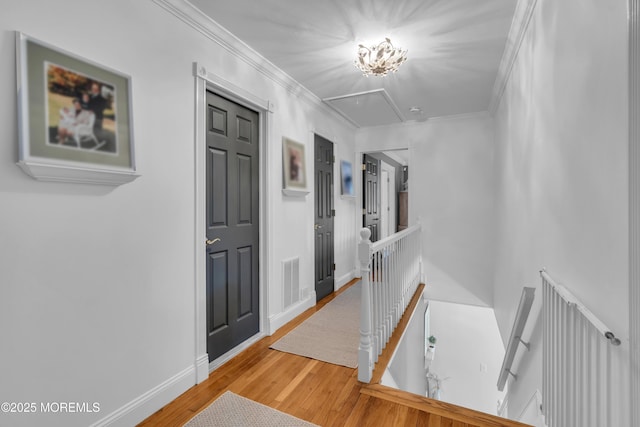 13 Bernice Dr, Freehold, NJ 07728 - photo 25