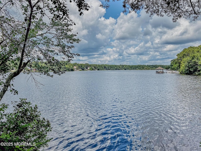 113 Compass Rd, Manahawkin, NJ 08050 - photo 34