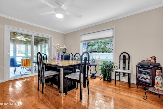 311 Pine Forest Ln, Forked River, NJ 08731 - photo 36