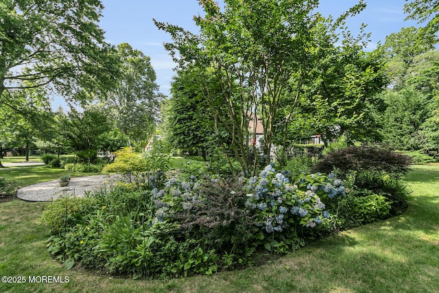 12 Garden Rd, Little Silver, NJ 07739 - photo 27